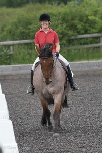 ISIS Dressage Challenge 2008